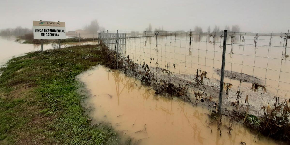 La finca experimental de INTIA en Cadreita durante las inundaciones el pasado diciembre