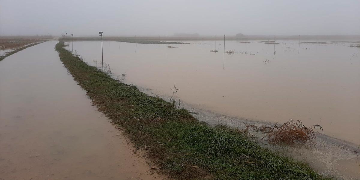 Inundaciones en la finca experimental de INTIA en Cadreita el pasado diciembre