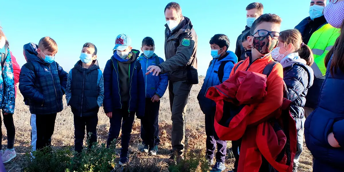 TARAZONA reforestacion escolares 3