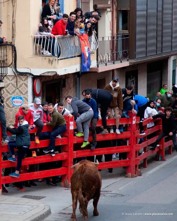 Fiestas de San Raimundo 2022 en Fitero 3