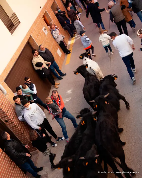 Fiestas de San Raimundo 2022 en Fitero 4