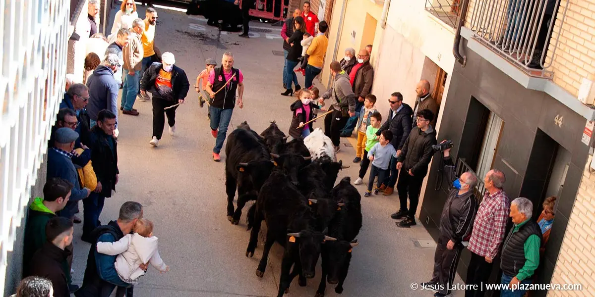 Fiestas de San Raimundo 2022 en Fitero 5