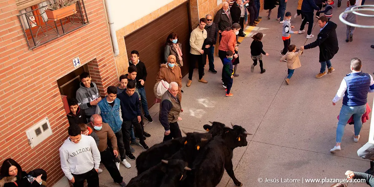Fiestas de San Raimundo 2022 en Fitero 6