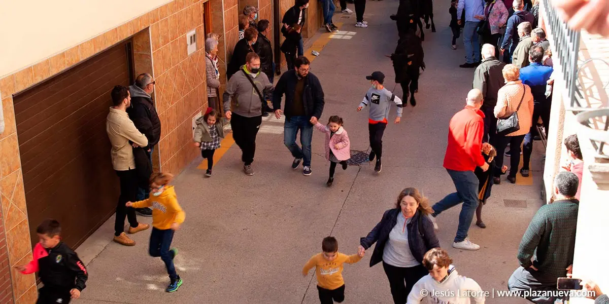 Fiestas de San Raimundo 2022 en Fitero 7