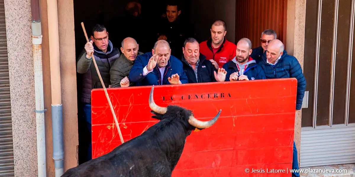 Fiestas de San Raimundo 2022 en Fitero 11