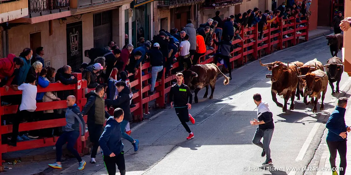 Fiestas de San Raimundo 2022 en Fitero 12
