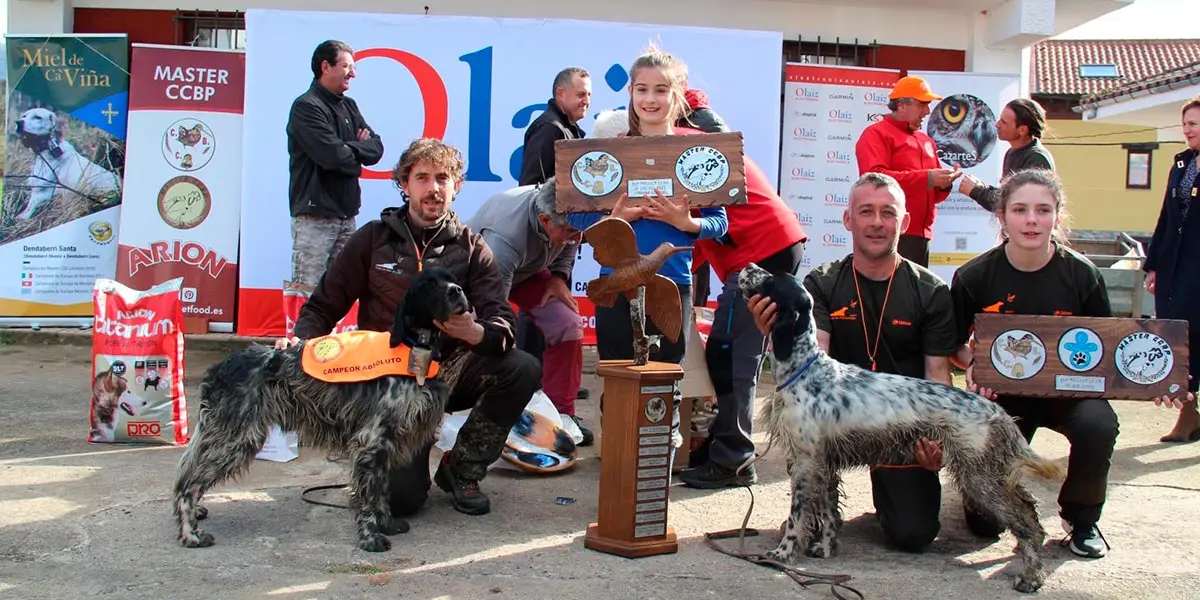VillaCarmago perros caza becada Ricardo Cornago 3