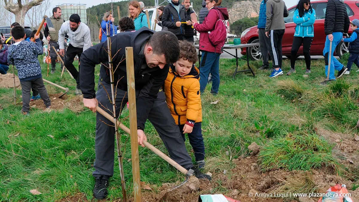 D&iacute;a del &aacute;rbol en Caparroso 2022 3