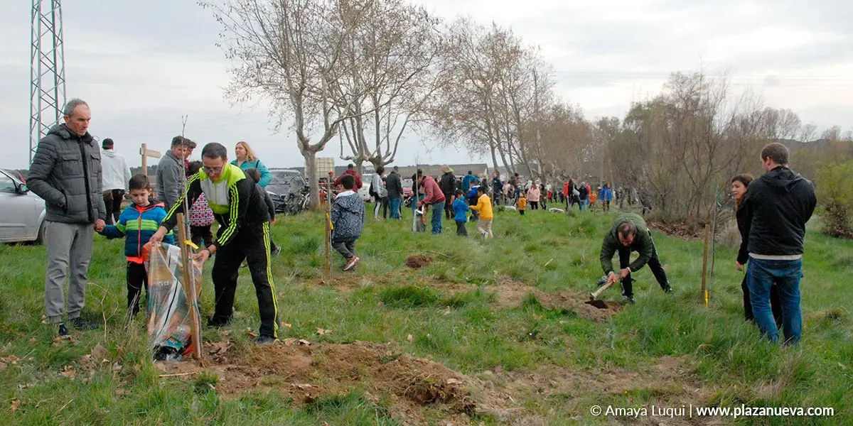 D&iacute;a del &aacute;rbol en Caparroso 2022 8