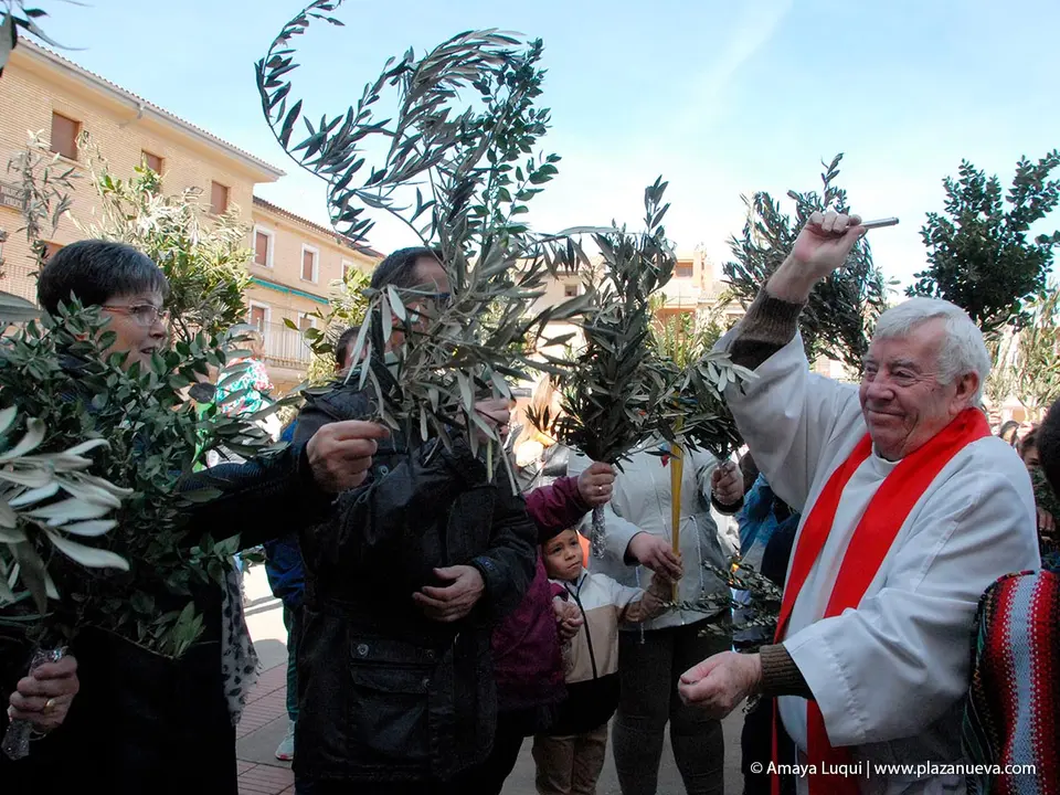 Domingo de Ramos en Caparroso 2