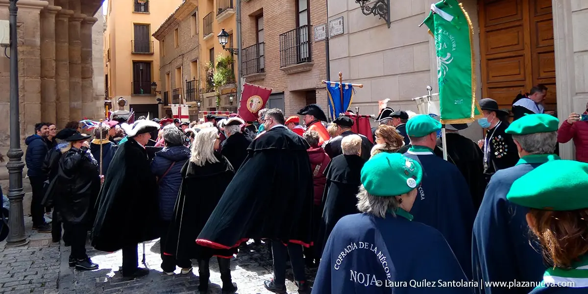Fiestas de la Verdura Tudela Cap&iacute;tulo General de la Orden del Volat&iacute;n 15