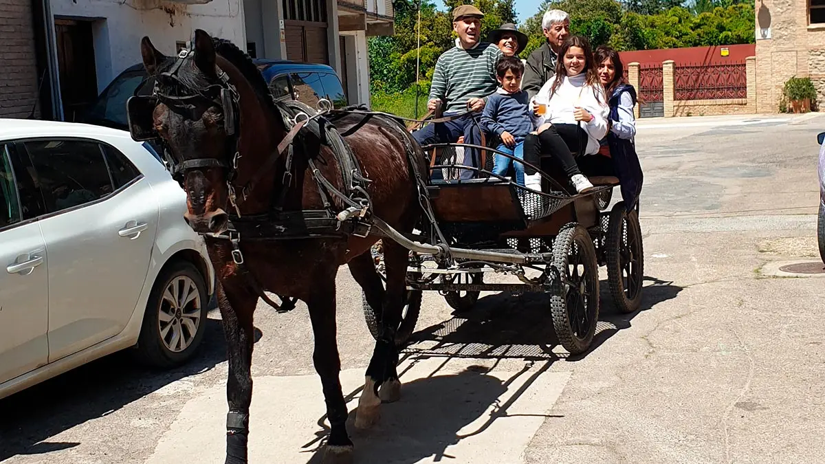 Trashumancia 2022 en Villafranca 1