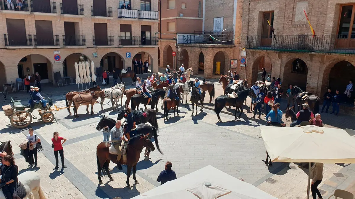 Trashumancia 2022 en Villafranca 5