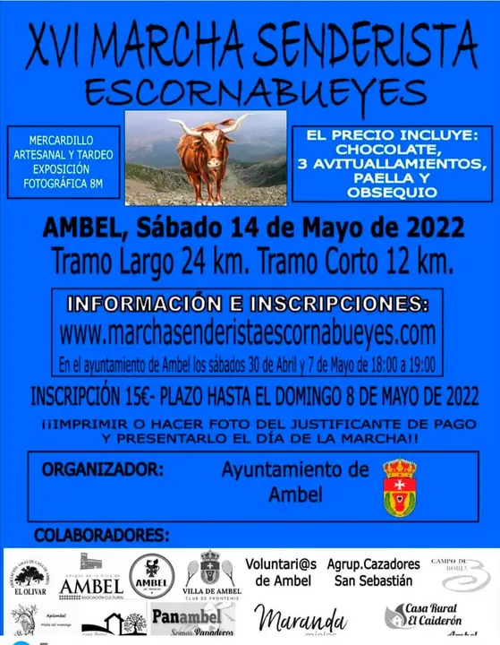 Cartel Marcha Senderista Ambel