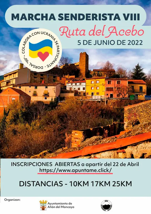 Cartel Marcha Senderista VIII Ruta del Acebo A&ntilde;&oacute;n de Moncayo