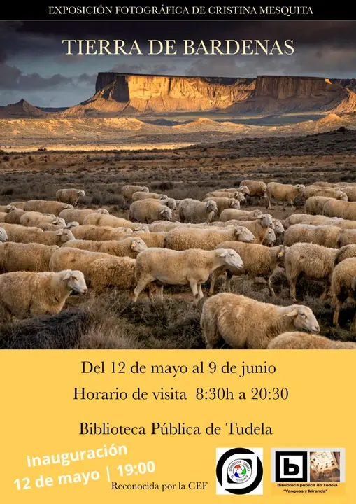 Cartel Exposici&oacute;n Bardenas Cristina Mesquita