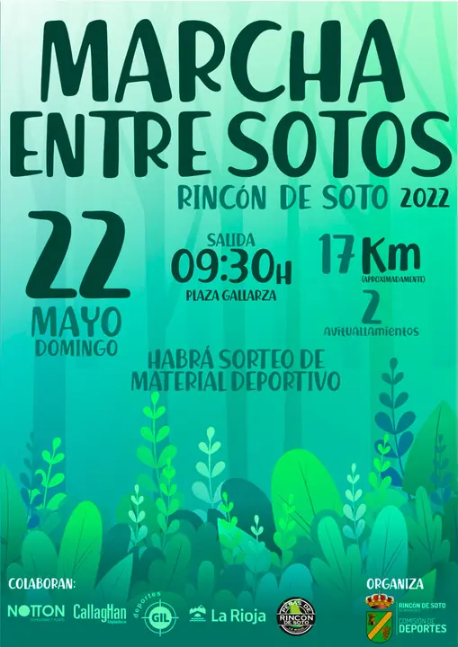 Cartel Marcha entre Sotos en Rinc&oacute;n de Soto