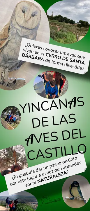 Yincanas de aves del castillo