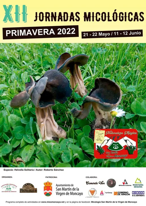 Cartel Jornadas Micol&oacute;gicas en San Mart&iacute;n de Moncayo