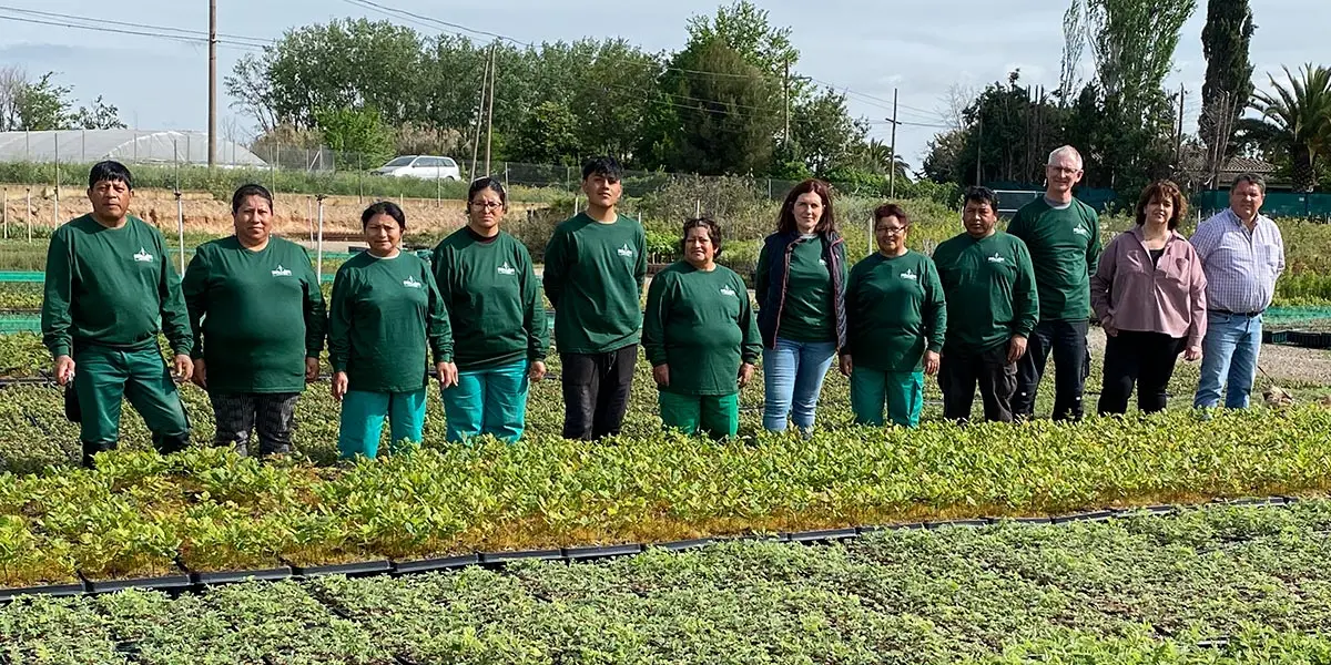 Last&oacute;n equipo en el Vivero