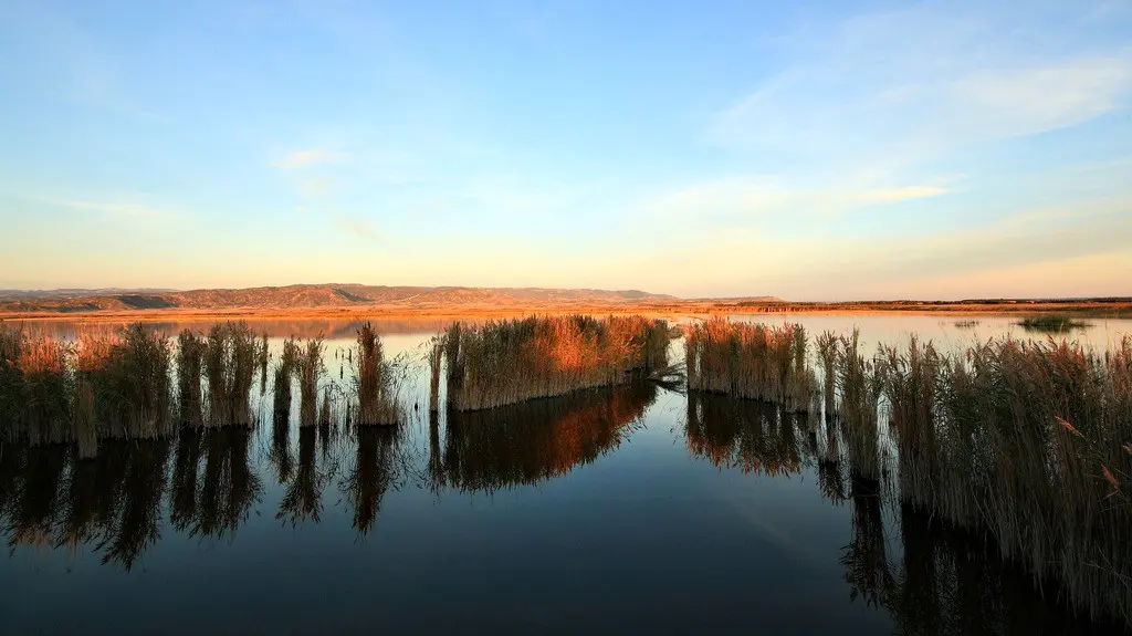 Laguna Pitillas
