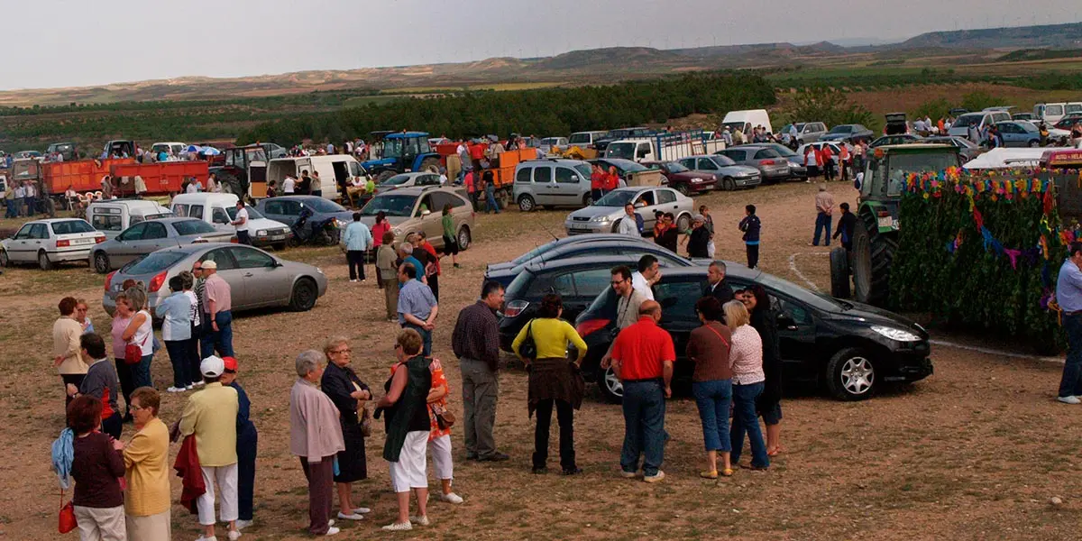 Cruceta 2009