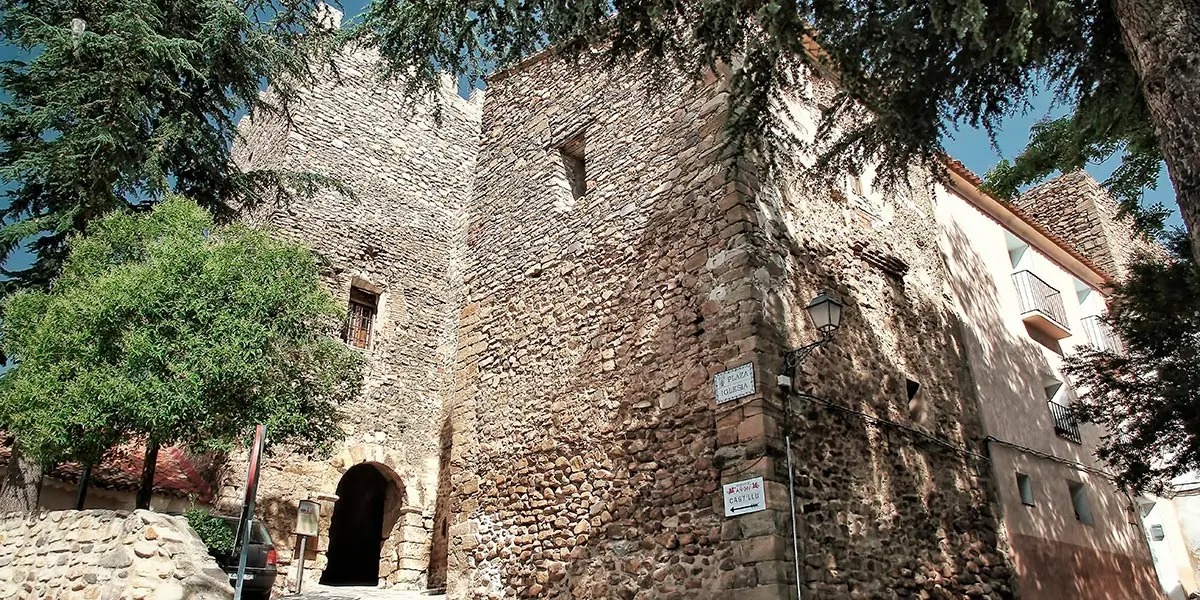 Castillo de A&ntilde;&oacute;n 5