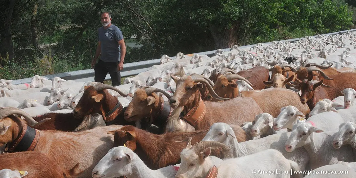 D&iacute;a Rural en Caparroso 2022 1