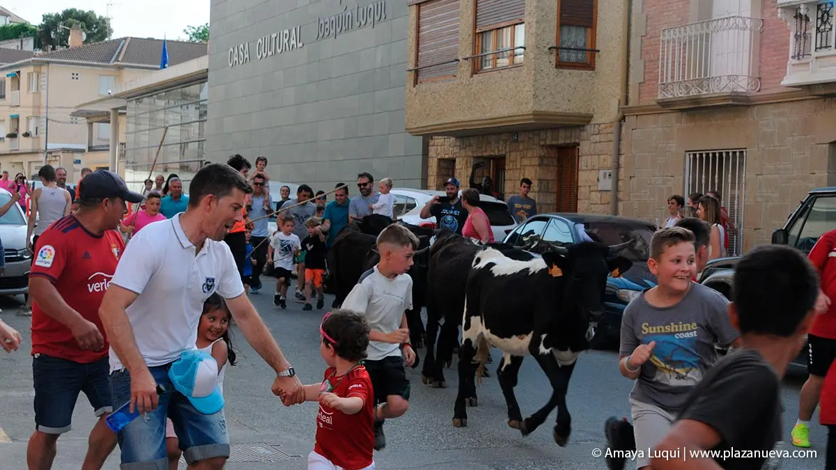 D&iacute;a Rural en Caparroso 2022 2