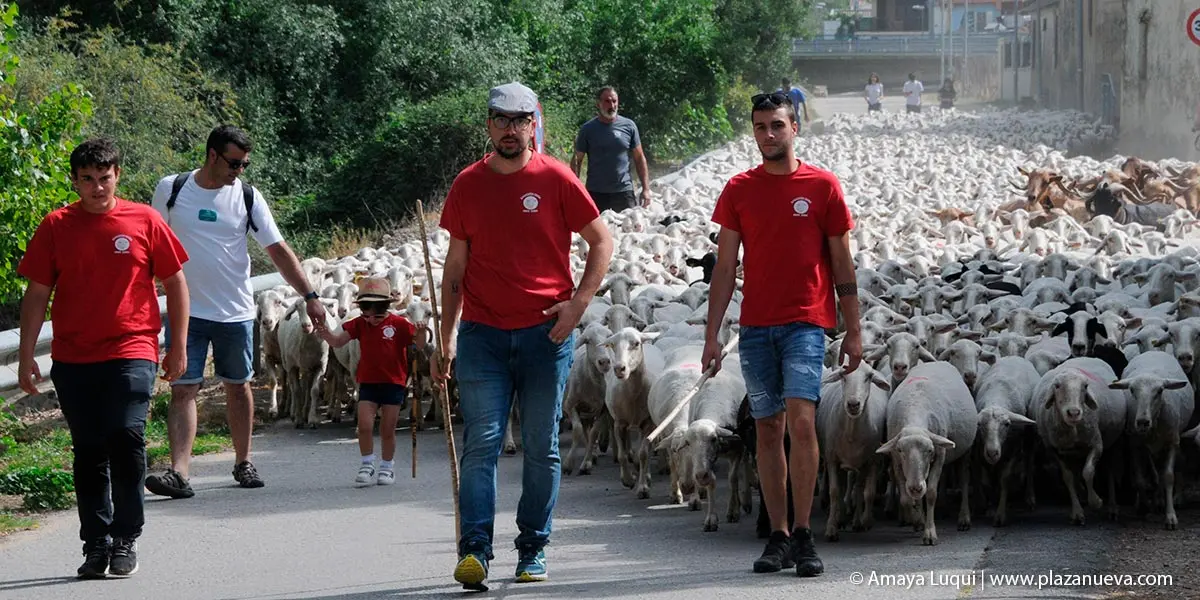 D&iacute;a Rural en Caparroso 2022 8