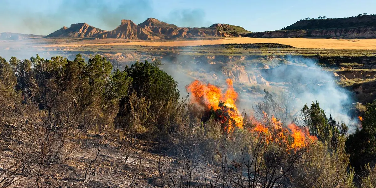 Bardenas incendio Eguaras 2022 1