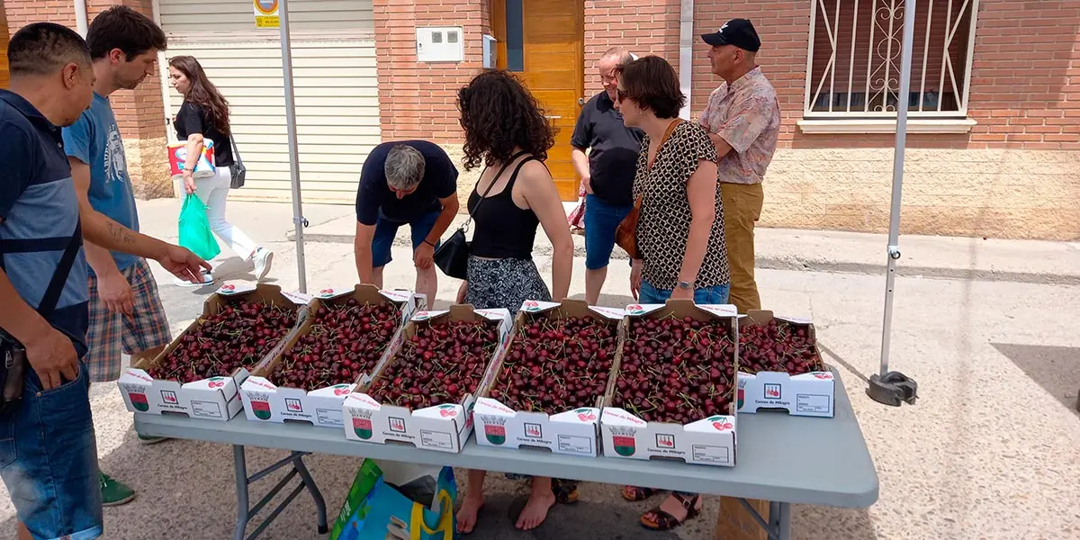 D&iacute;a de la Cereza de Milagro 9
