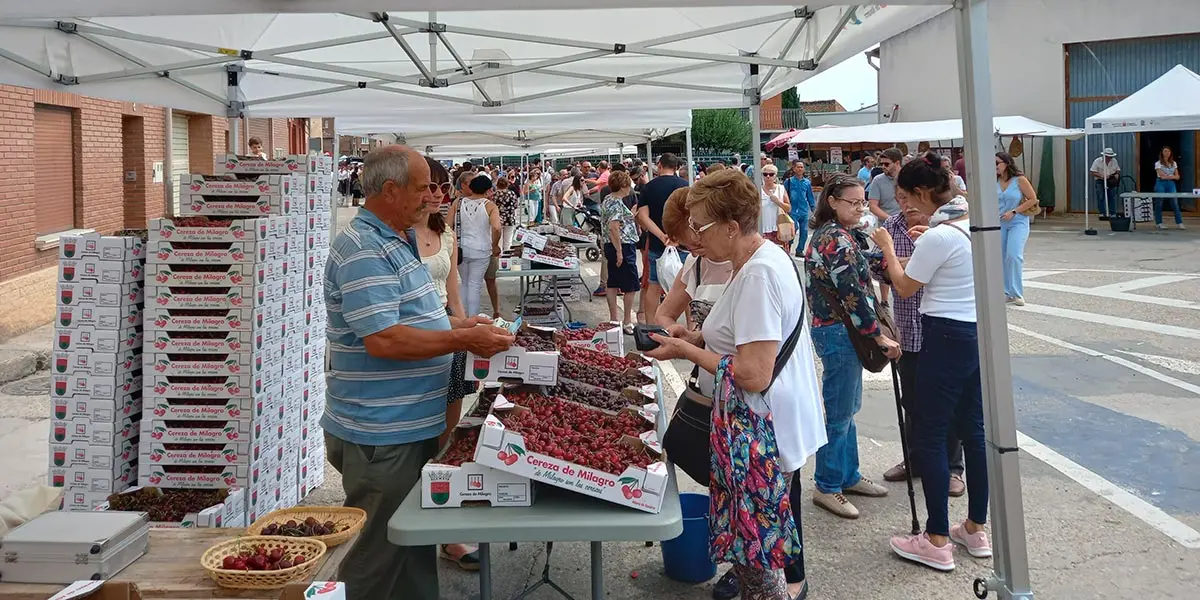 D&iacute;a de la Cereza de Milagro 14