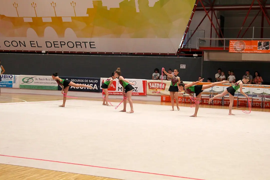 Exhibici&oacute;n de fin de curso del Club Gimnasia R&iacute;tmica Tudela 5