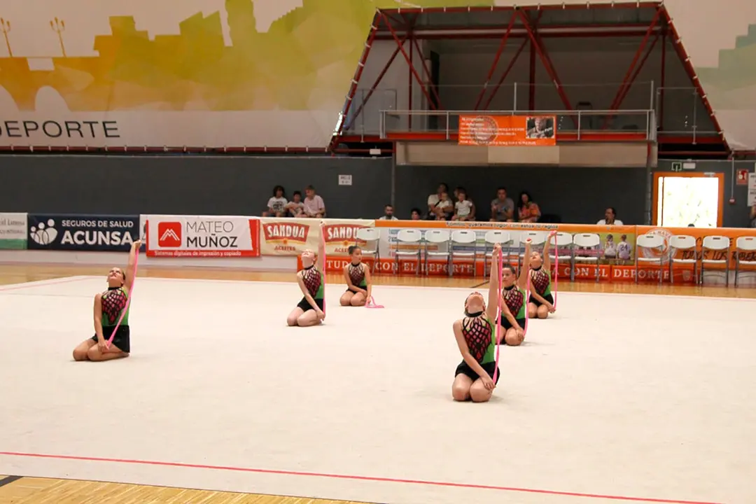 Exhibici&oacute;n de fin de curso del Club Gimnasia R&iacute;tmica Tudela 6