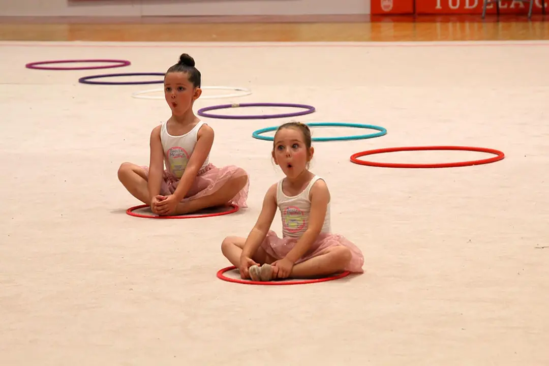 Exhibici&oacute;n de fin de curso del Club Gimnasia R&iacute;tmica Tudela 13
