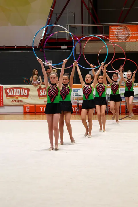Exhibici&oacute;n de fin de curso del Club Gimnasia R&iacute;tmica Tudela 15