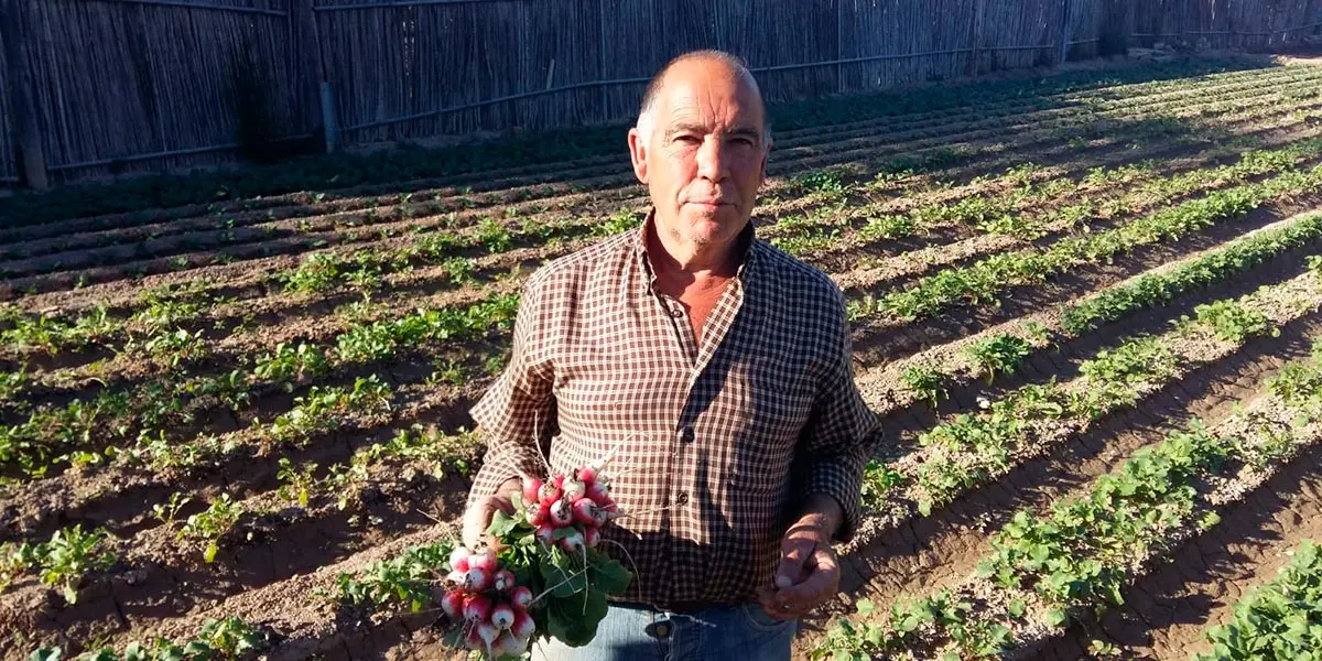 Manuel Navarro P&eacute;rez, Hortelano Popular 2022, es conocido por sus rabanetas, de las mejores de Tudela