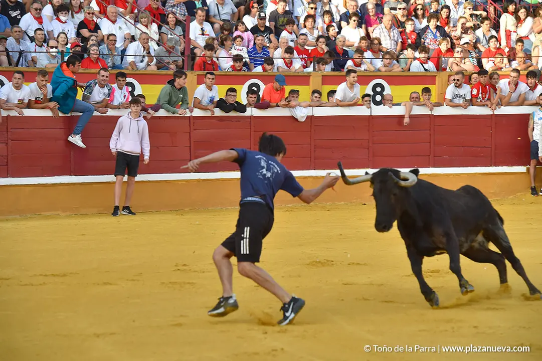 Encierro d&iacute;a 25, Fiestas de Tudela 2022 - 31
