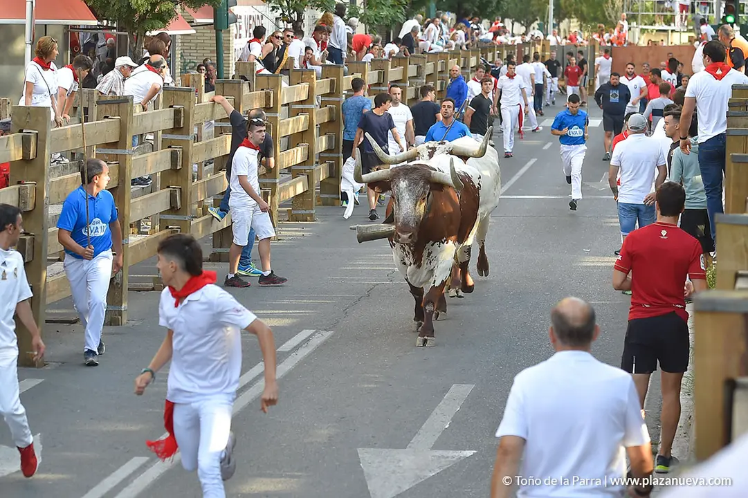 Encierro d&iacute;a 25, Fiestas de Tudela 2022 - 16