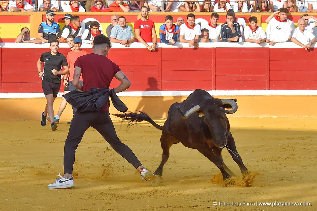 Encierro d&iacute;a 25, Fiestas de Tudela 2022 - 29