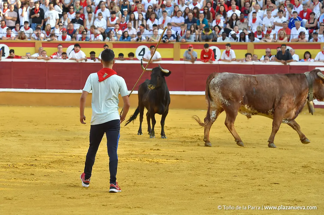 Encierro d&iacute;a 25, Fiestas de Tudela 2022 - 27