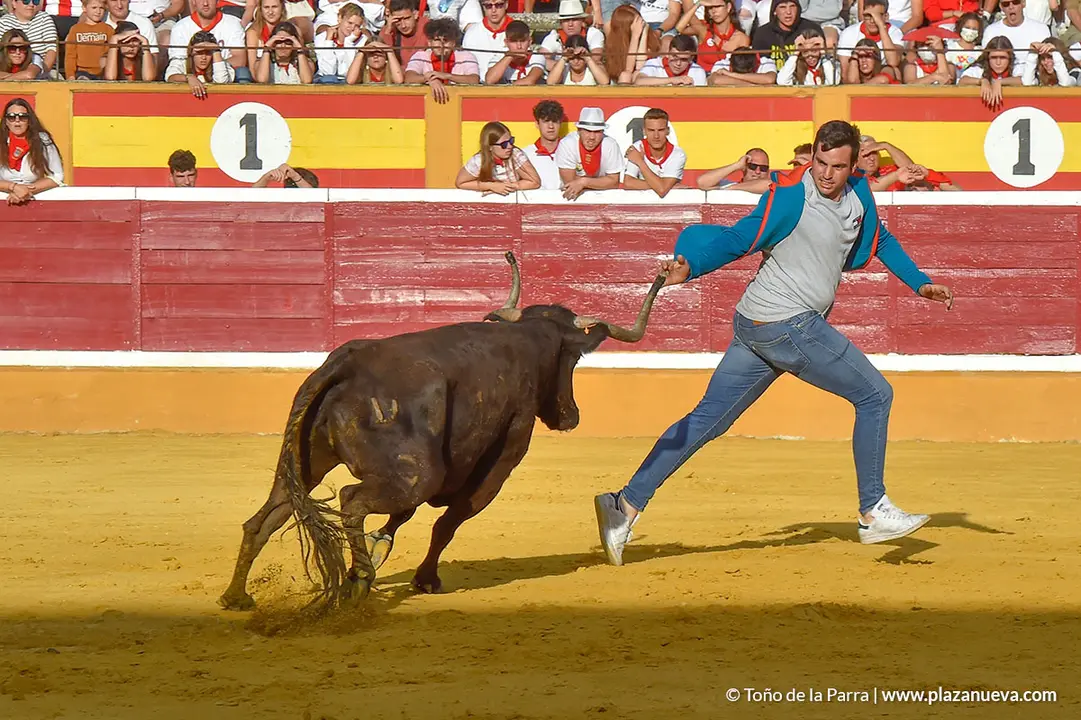 Encierro d&iacute;a 25, Fiestas de Tudela 2022 - 26
