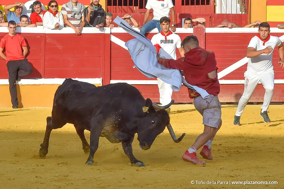 Encierro d&iacute;a 25, Fiestas de Tudela 2022 - 28