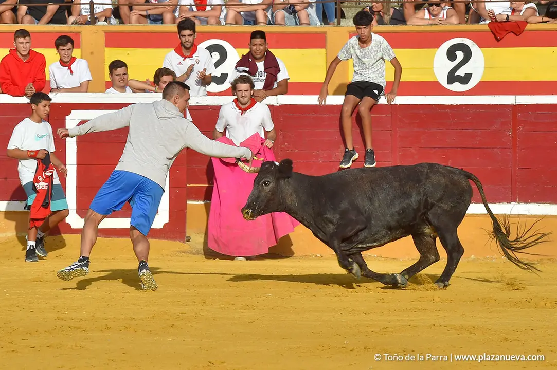 Encierro d&iacute;a 25, Fiestas de Tudela 2022 - 25