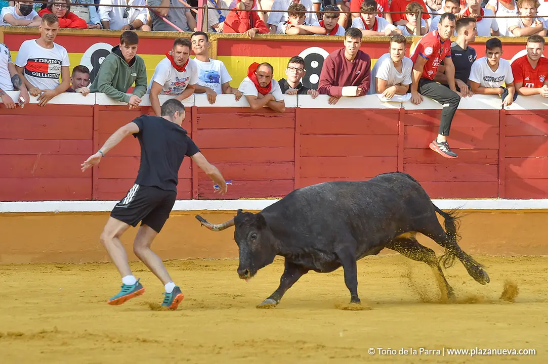 Encierro d&iacute;a 25, Fiestas de Tudela 2022 - 24