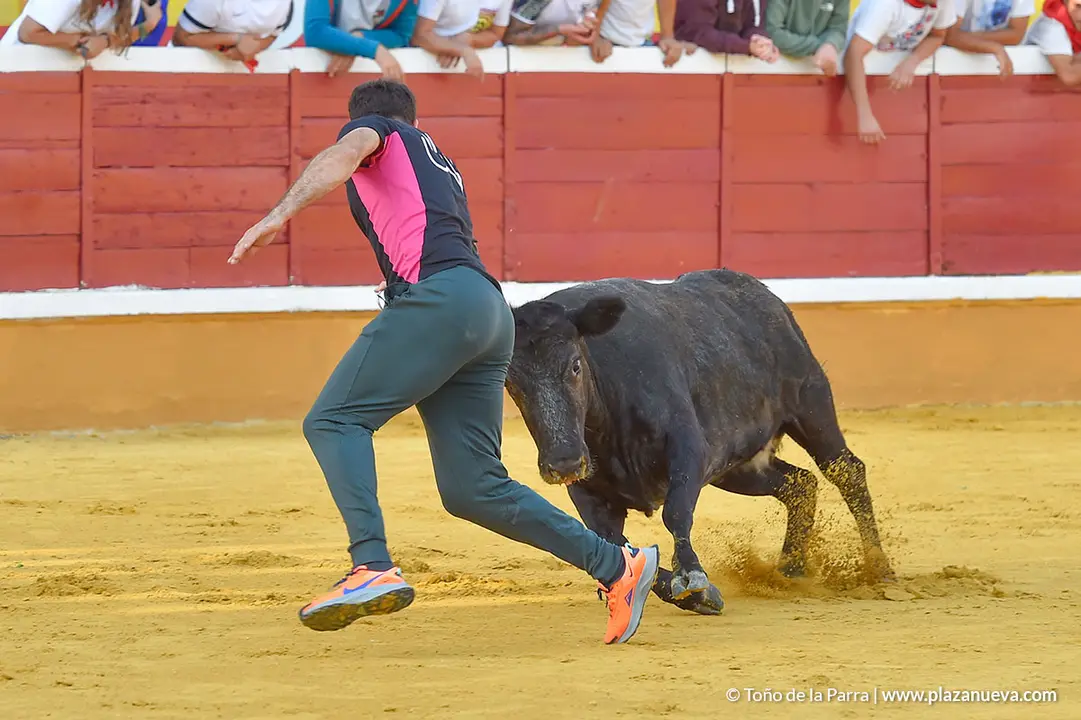 Encierro d&iacute;a 25, Fiestas de Tudela 2022 - 23