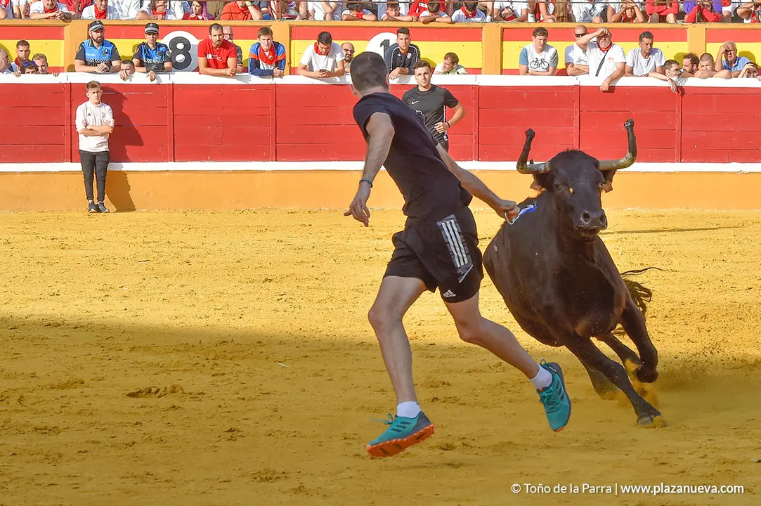 Encierro d&iacute;a 25, Fiestas de Tudela 2022 - 22