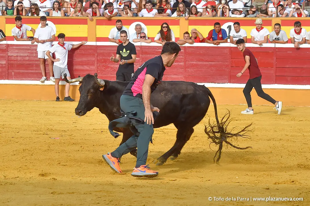 Encierro d&iacute;a 25, Fiestas de Tudela 2022 - 20