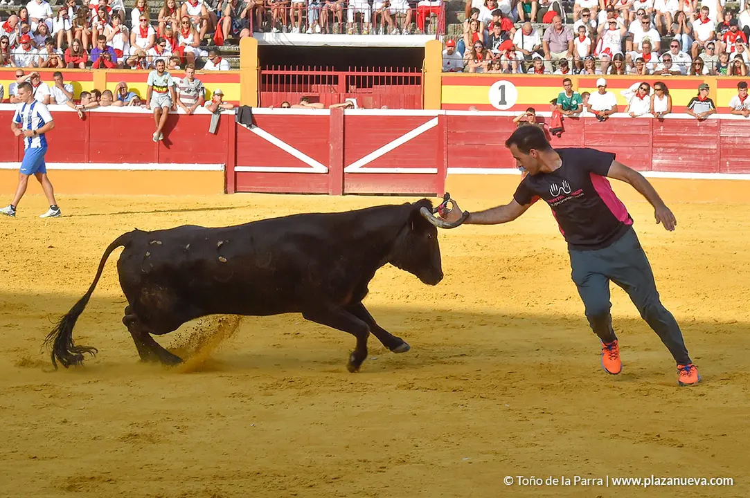 Encierro d&iacute;a 25, Fiestas de Tudela 2022 - 21